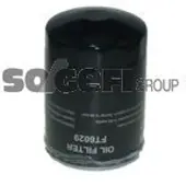 COOPERSFIAAM FILTERS FT6029 Oliefilter
