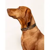 DOGGUO hondenhalsband ZEBRA-COLLAR-BEIGE/BLACK-M