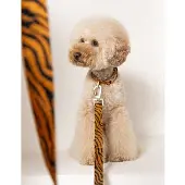 DOGGUO hondenriem ZEBRA-LEASH-RUST/BLACK-M