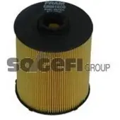 FRAM C8981ECO Brandstoffilter