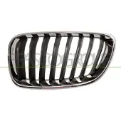 PRASCO BM2502004 Radiator grill
