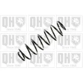 Quinton Hazell QCS6149 Chassisveer