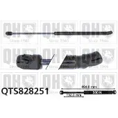 Quinton Hazell QTS828251 Gasveer achterklep