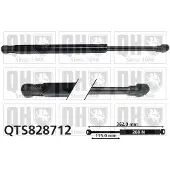 Quinton Hazell QTS828712 Gasveer achterklep