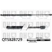 Quinton Hazell QTS828729 Gasveer achterklep