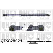 Quinton Hazell QTS828021 Gasveer achterklep