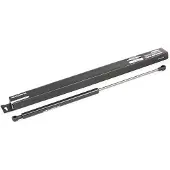RIDEX 219G0074 Gasveer achterklep