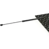 RIDEX 219G0915 Gasveer achterklep