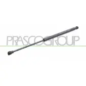 PRASCO TY3259055 Gasveer achterklep