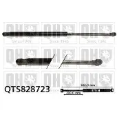 Quinton Hazell QTS828723 Gasveer achterklep