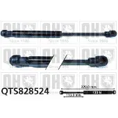 Quinton Hazell QTS828524 Gasveer, dak