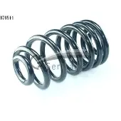 CS Germany 14.876.511 Chassisveer