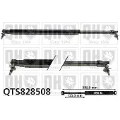 Quinton Hazell QTS828508 Gasveer achterklep