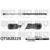Quinton Hazell QTS828224 Gasveer achterklep