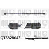 Quinton Hazell QTS828043 Gasveer achterklep