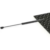 RIDEX 219G1200 Gasveer achterklep
