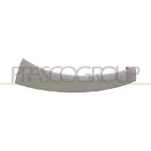 PRASCO FT9302103 Afdekking, koplamp