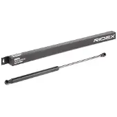 RIDEX 219G0911 Gasveer achterklep
