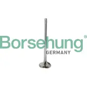 Borsehung B10321 Uitlaatklep