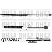 Quinton Hazell QTS828471 Gasveer motorkap