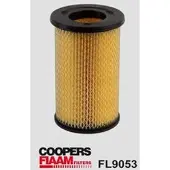 COOPERSFIAAM FILTERS FL9053 Luchtfilter