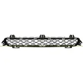 BLIC BM8042130 Ventilatiegrille, bumper