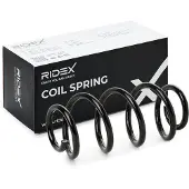 RIDEX 188C1291 Chassisveer