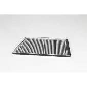 BSG 60-145-025 Interieurfilter