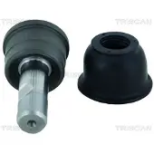 TRISCAN 8500 80104178 Fuseekogel