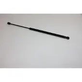 AUTOMEGA 100004010 Gasveer achterklep