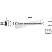 VEGAZ ULS-354 Lambdasonde
