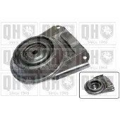 Quinton Hazell EMR6025 Veerpootlager