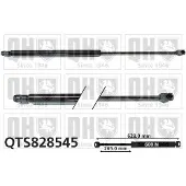 Quinton Hazell QTS828545 Gasveer achterklep