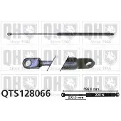 Quinton Hazell QTS128066 Gasveer achterklep