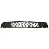 PRASCO BM8042120 Ventilatiegrille, bumper