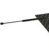 RIDEX 219G1237 Gasveer achterklep