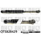 Quinton Hazell QTS828429 Gasveer achterklep