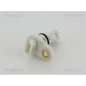 TRISCAN 8855 24139 Krukassensor