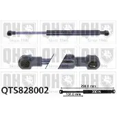 Quinton Hazell QTS828002 Gasveer achterklep