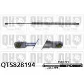 Quinton Hazell QTS828194 Gasveer achterklep