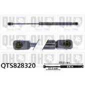 Quinton Hazell QTS828320 Gasveer achterklep