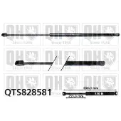 Quinton Hazell QTS828581 Gasveer motorkap
