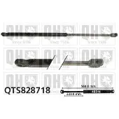 Quinton Hazell QTS828718 Gasveer achterklep