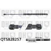 Quinton Hazell QTS828257 Gasveer achterklep