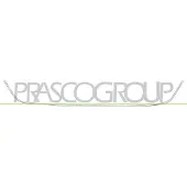 BLIC Sierlijst/beschermstrip, bumper 5510-00-6043923P