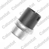 CALORSTAT by Vernet WS2578 Temperatuursensor