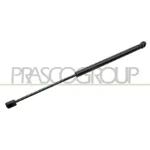 PRASCO VG0409055 Gasveer achterklep
