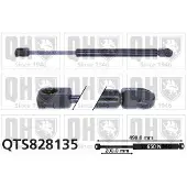 Quinton Hazell QTS828135 Gasveer achterklep
