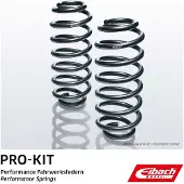 EIBACH E10-56-001-01-02 Verenset