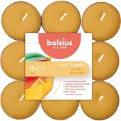Bolsius Geurtheelichten | | Mango | 18 stuks